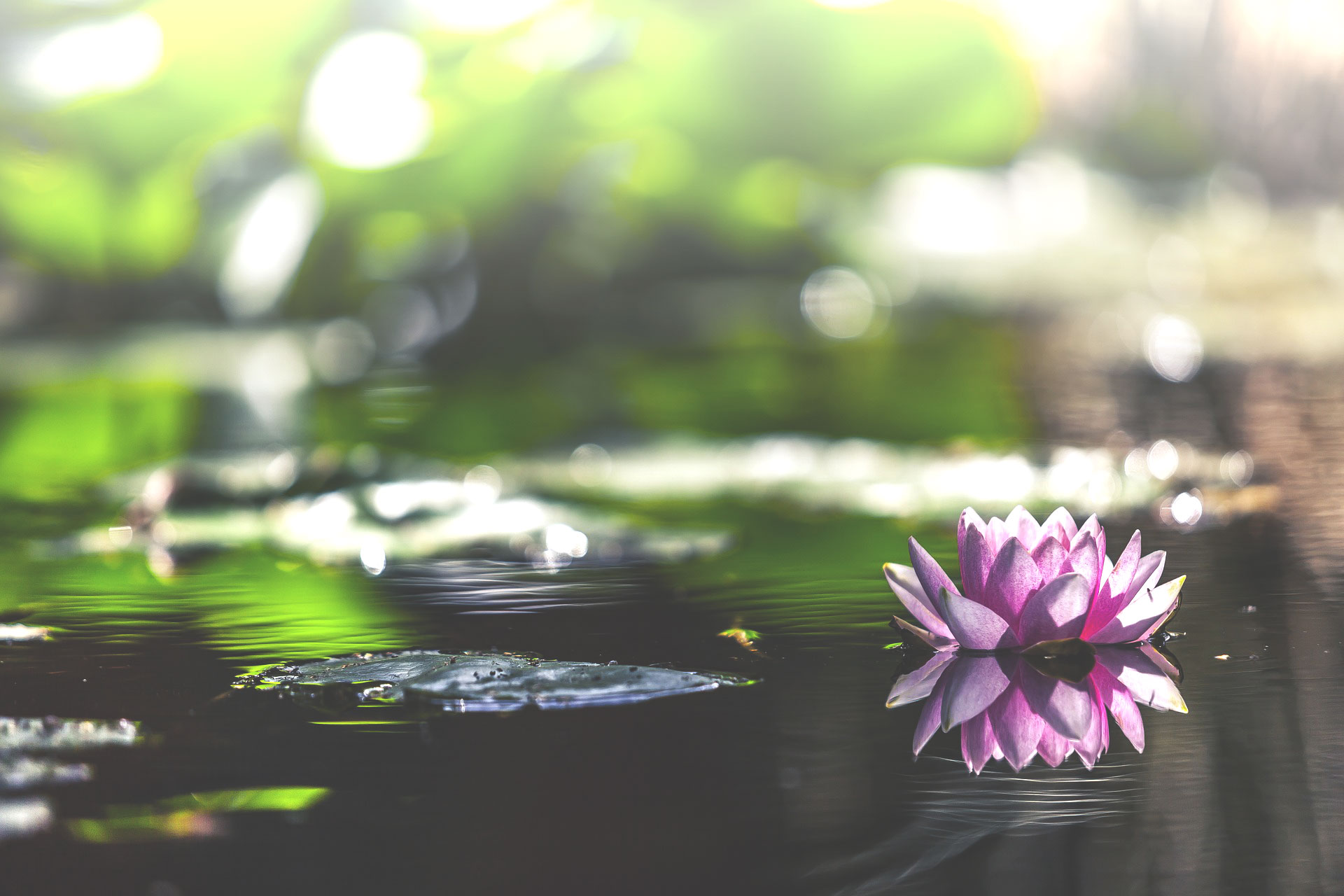 Cos’è la resilienza?